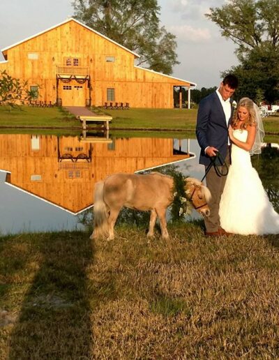 Pony as a flower girl? It's a thing!